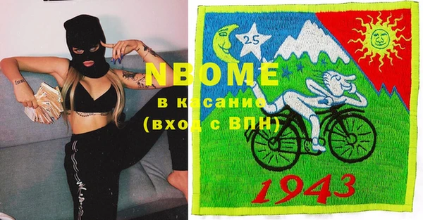 хмурый Мегион