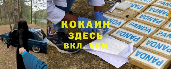 хмурый Мегион