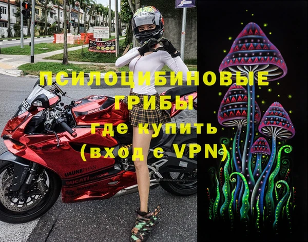 хмурый Мегион