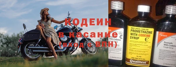 хмурый Мегион