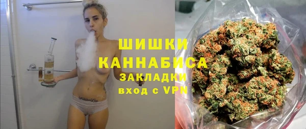 хмурый Мегион