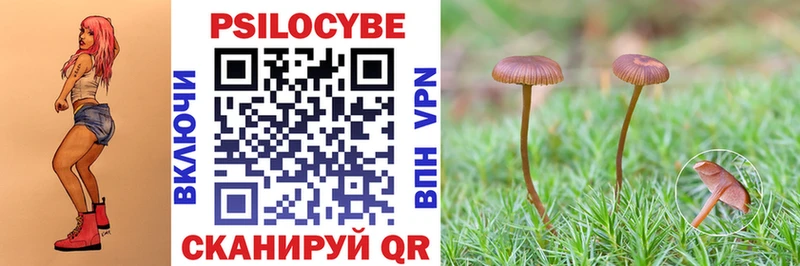 Псилоцибиновые грибы Psilocybine cubensis  цена наркотик  Галич 